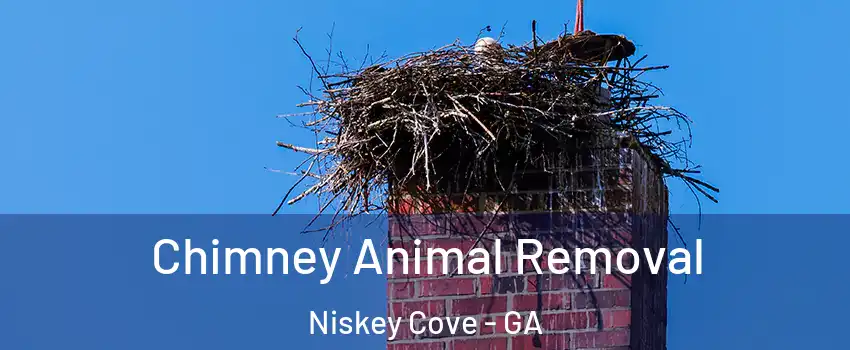 Chimney Animal Removal Niskey Cove - GA