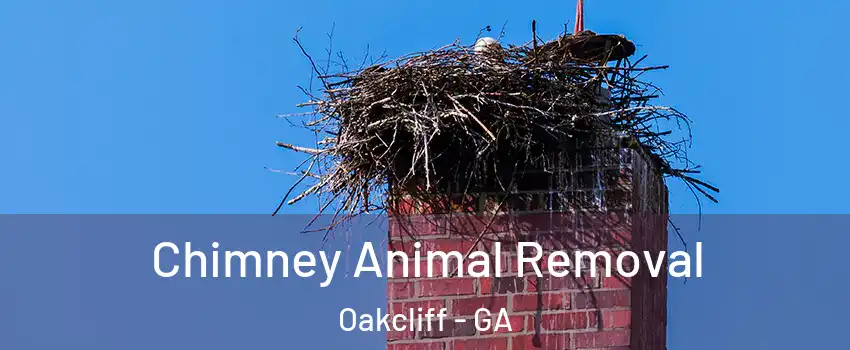 Chimney Animal Removal Oakcliff - GA