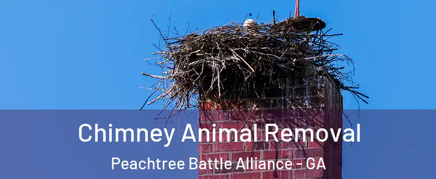 Chimney Animal Removal Peachtree Battle Alliance - GA