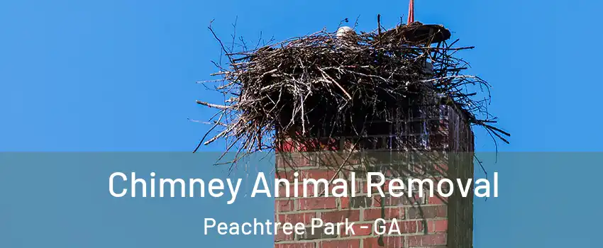 Chimney Animal Removal Peachtree Park - GA