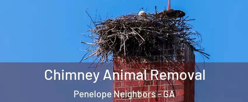 Chimney Animal Removal Penelope Neighbors - GA