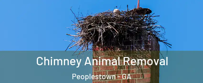 Chimney Animal Removal Peoplestown - GA