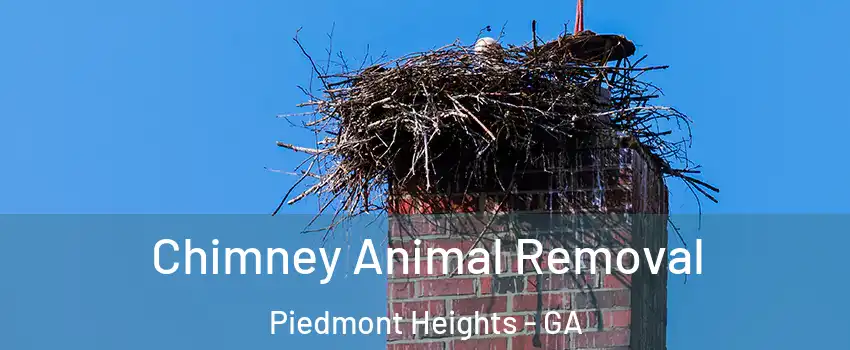 Chimney Animal Removal Piedmont Heights - GA