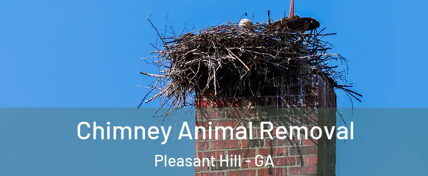 Chimney Animal Removal Pleasant Hill - GA