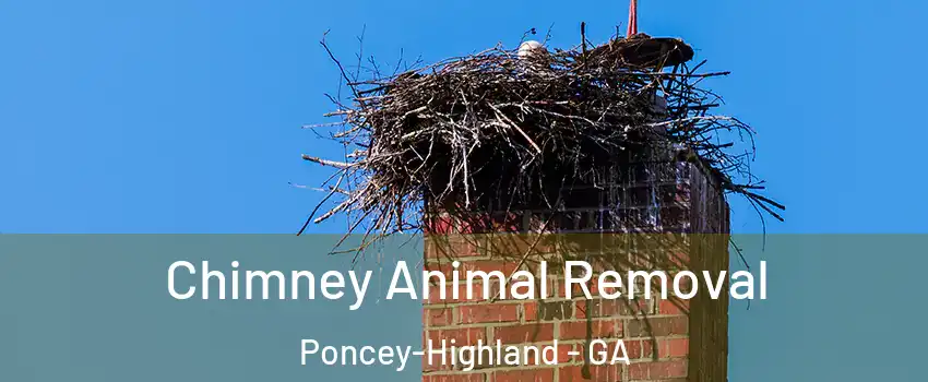 Chimney Animal Removal Poncey-Highland - GA