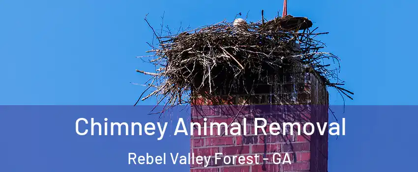 Chimney Animal Removal Rebel Valley Forest - GA