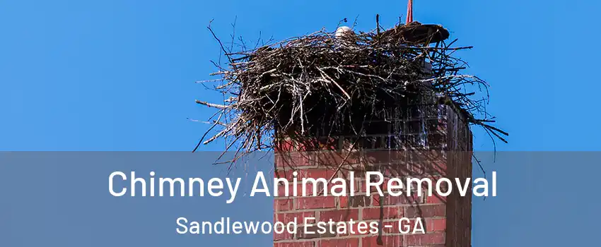 Chimney Animal Removal Sandlewood Estates - GA