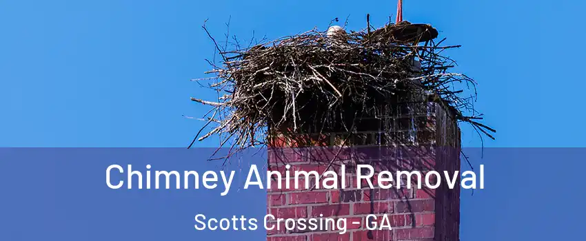 Chimney Animal Removal Scotts Crossing - GA