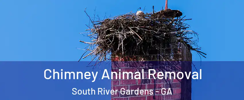 Chimney Animal Removal South River Gardens - GA