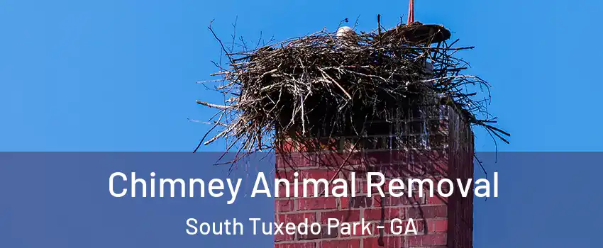 Chimney Animal Removal South Tuxedo Park - GA