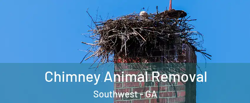 Chimney Animal Removal Southwest - GA