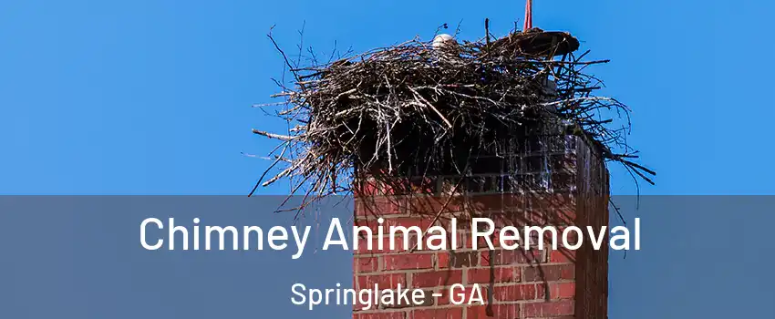 Chimney Animal Removal Springlake - GA