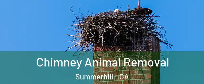 Chimney Animal Removal Summerhill - GA