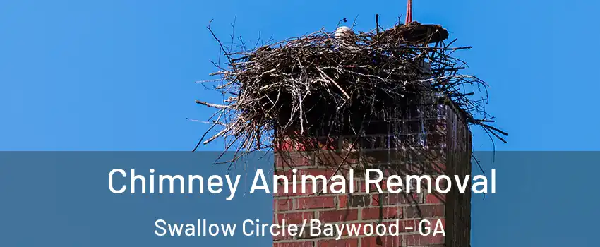 Chimney Animal Removal Swallow Circle/Baywood - GA