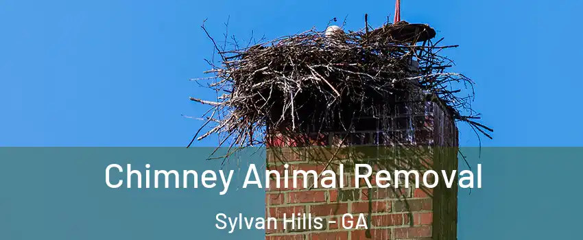 Chimney Animal Removal Sylvan Hills - GA