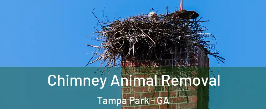 Chimney Animal Removal Tampa Park - GA