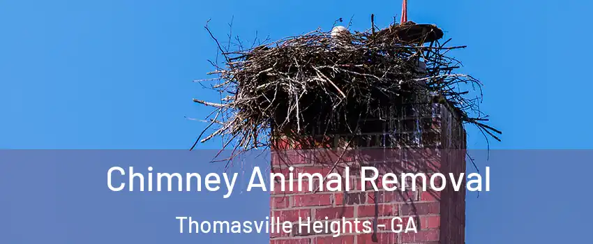 Chimney Animal Removal Thomasville Heights - GA