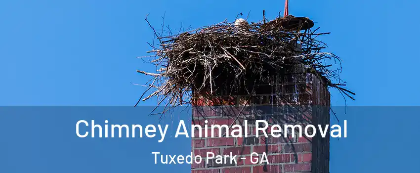 Chimney Animal Removal Tuxedo Park - GA