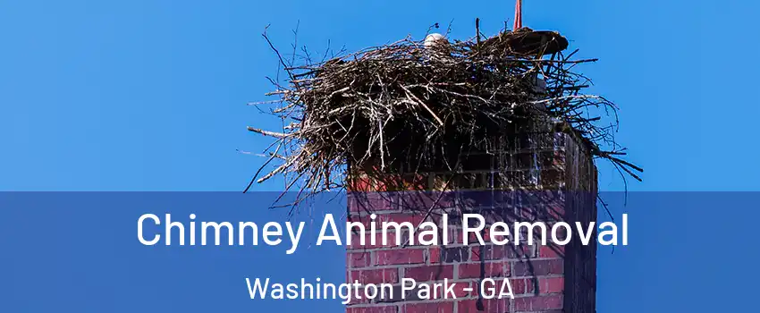 Chimney Animal Removal Washington Park - GA