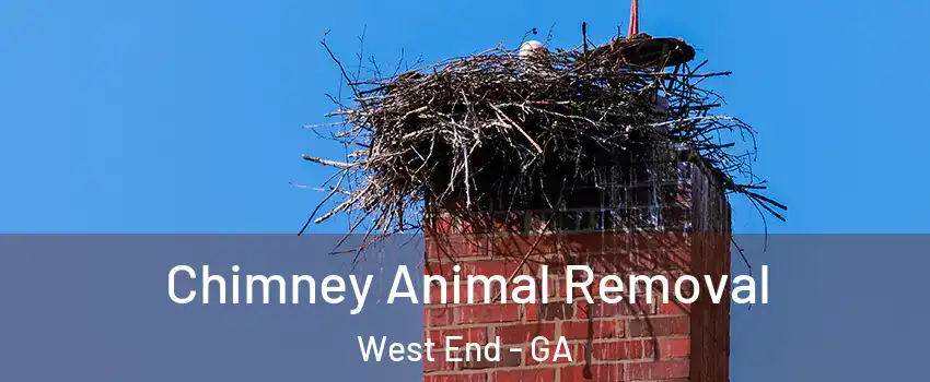 Chimney Animal Removal West End - GA