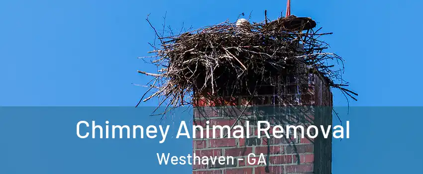 Chimney Animal Removal Westhaven - GA