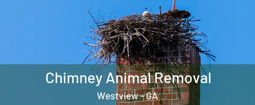 Chimney Animal Removal Westview - GA
