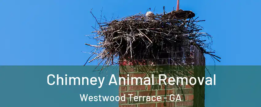 Chimney Animal Removal Westwood Terrace - GA