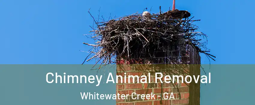 Chimney Animal Removal Whitewater Creek - GA