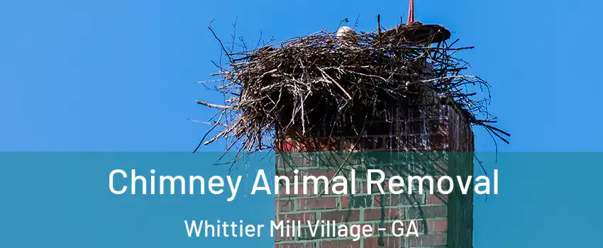 Chimney Animal Removal Whittier Mill Village - GA