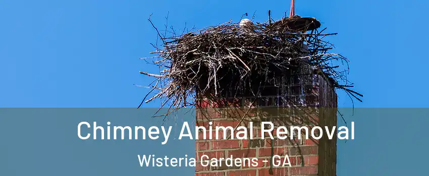 Chimney Animal Removal Wisteria Gardens - GA