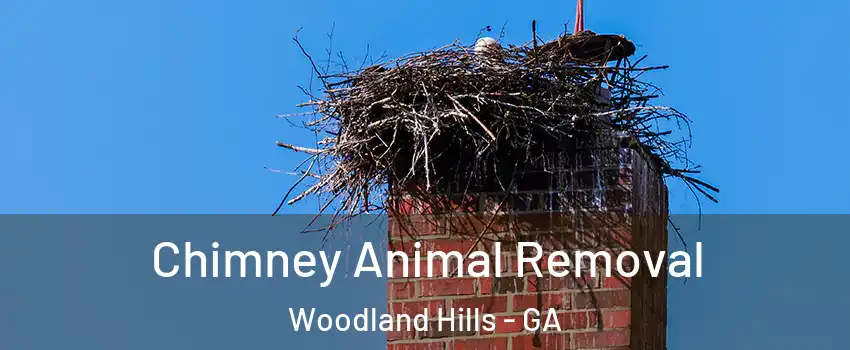 Chimney Animal Removal Woodland Hills - GA