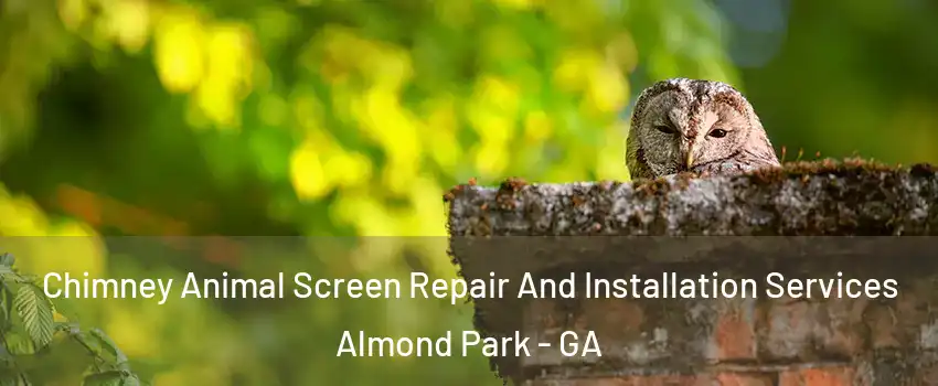 Chimney Animal Screen Repair And Installation Services Almond Park - GA