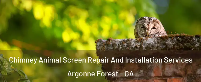 Chimney Animal Screen Repair And Installation Services Argonne Forest - GA