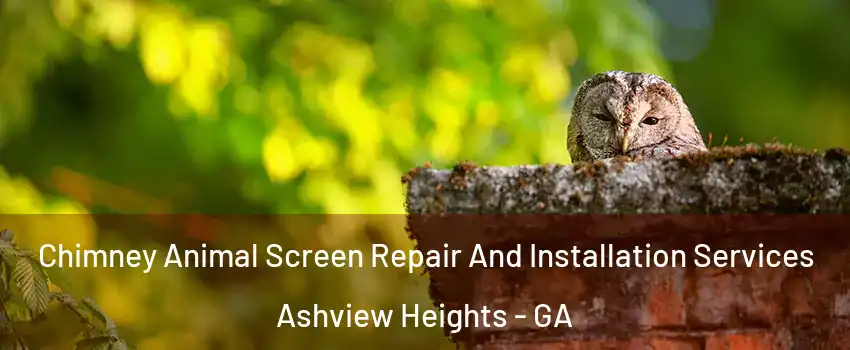 Chimney Animal Screen Repair And Installation Services Ashview Heights - GA