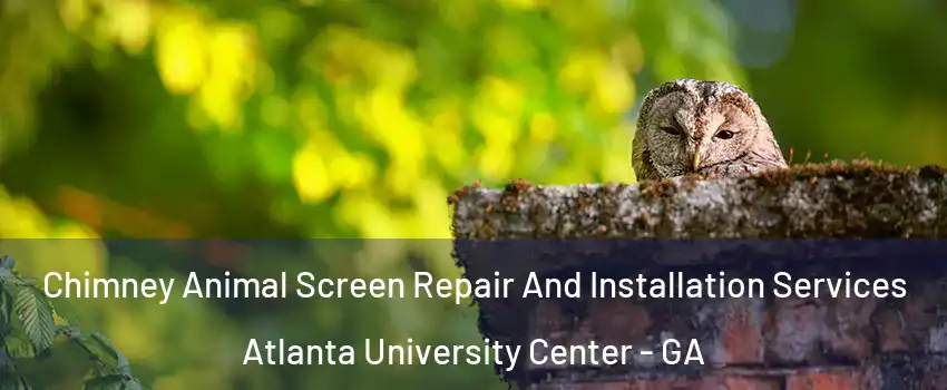 Chimney Animal Screen Repair And Installation Services Atlanta University Center - GA
