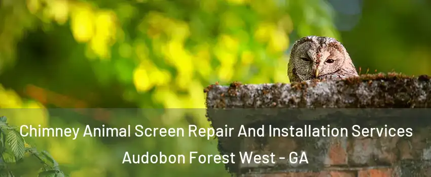Chimney Animal Screen Repair And Installation Services Audobon Forest West - GA