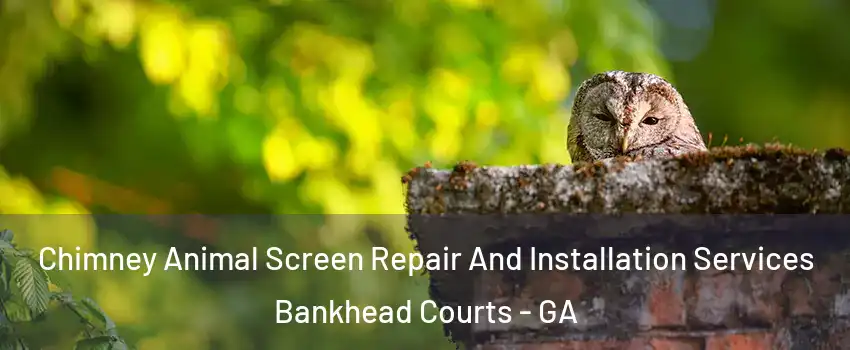 Chimney Animal Screen Repair And Installation Services Bankhead Courts - GA