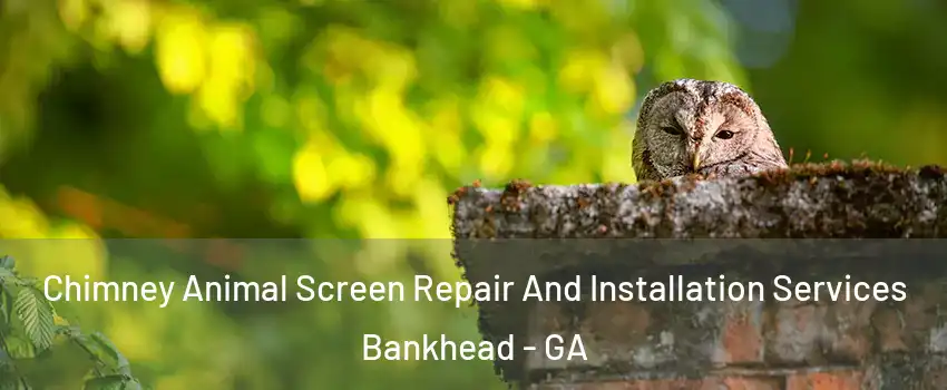 Chimney Animal Screen Repair And Installation Services Bankhead - GA