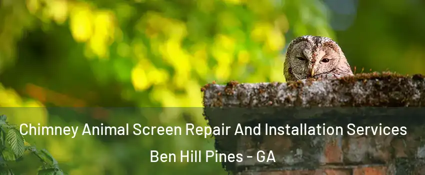 Chimney Animal Screen Repair And Installation Services Ben Hill Pines - GA