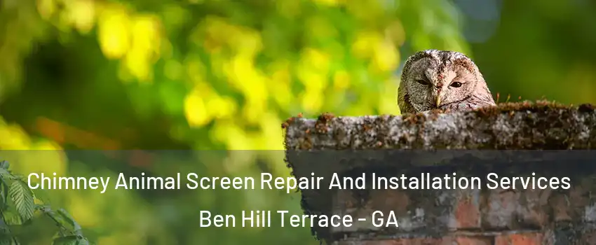 Chimney Animal Screen Repair And Installation Services Ben Hill Terrace - GA
