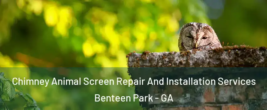 Chimney Animal Screen Repair And Installation Services Benteen Park - GA