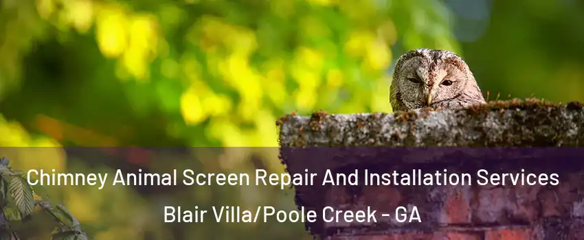 Chimney Animal Screen Repair And Installation Services Blair Villa/Poole Creek - GA