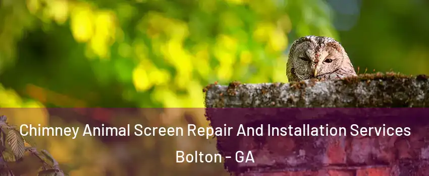 Chimney Animal Screen Repair And Installation Services Bolton - GA
