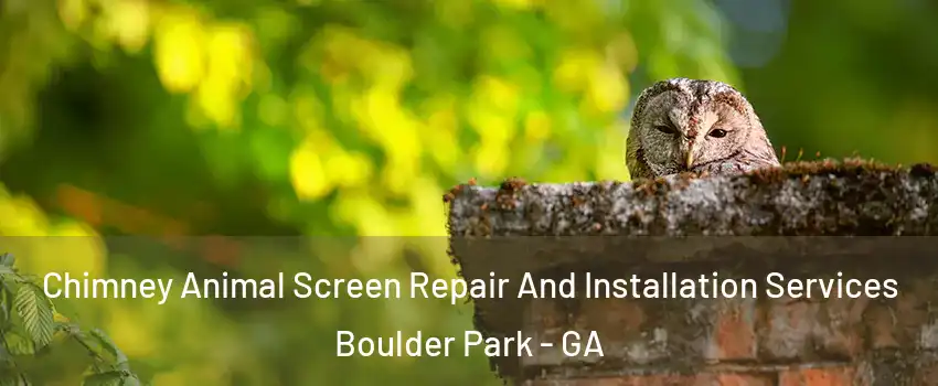 Chimney Animal Screen Repair And Installation Services Boulder Park - GA