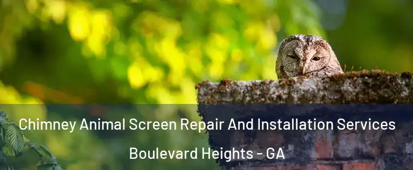 Chimney Animal Screen Repair And Installation Services Boulevard Heights - GA