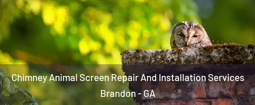 Chimney Animal Screen Repair And Installation Services Brandon - GA