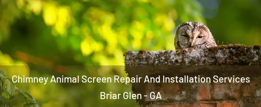 Chimney Animal Screen Repair And Installation Services Briar Glen - GA