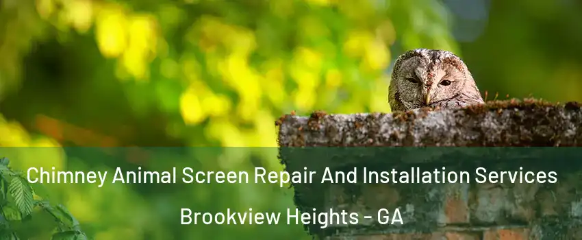 Chimney Animal Screen Repair And Installation Services Brookview Heights - GA