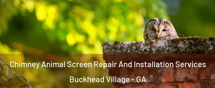 Chimney Animal Screen Repair And Installation Services Buckhead Village - GA