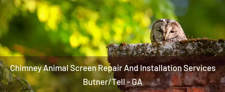 Chimney Animal Screen Repair And Installation Services Butner/Tell - GA